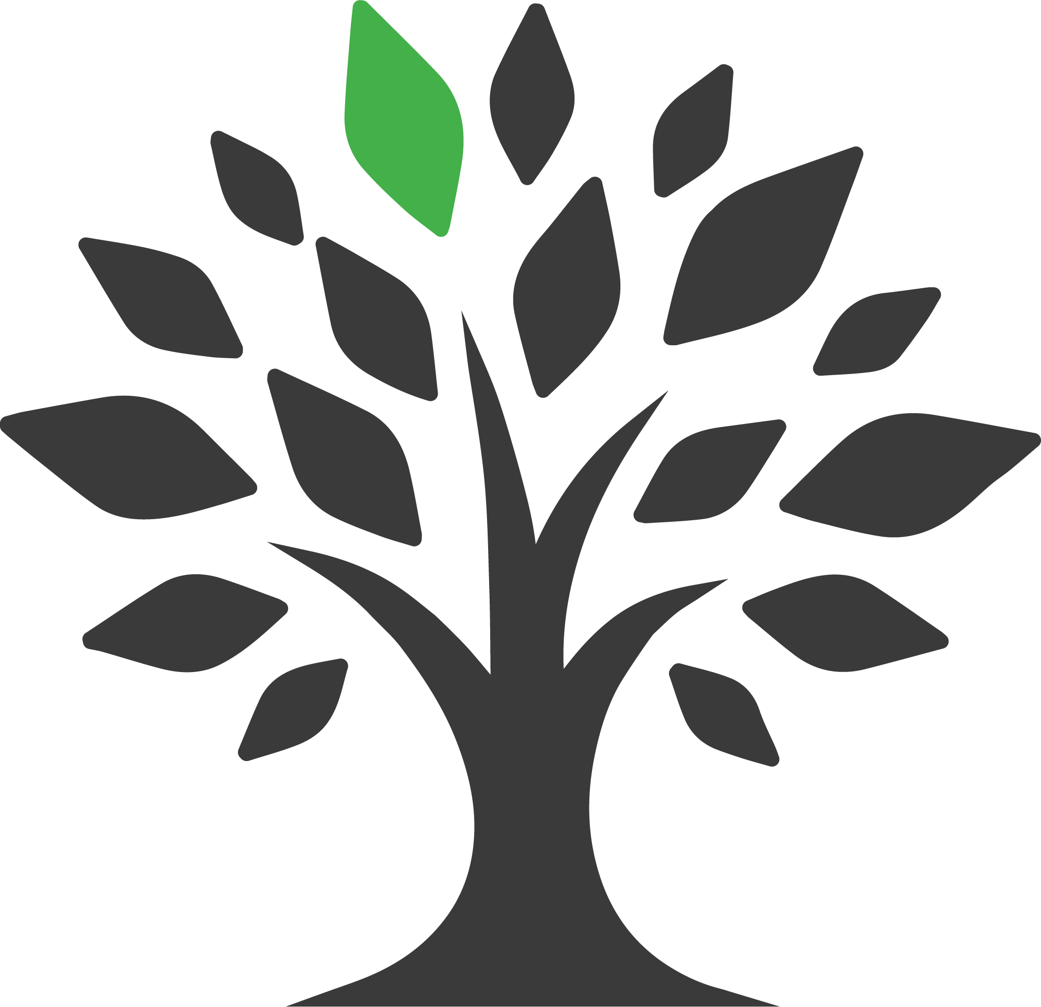 sycamore-credentialing